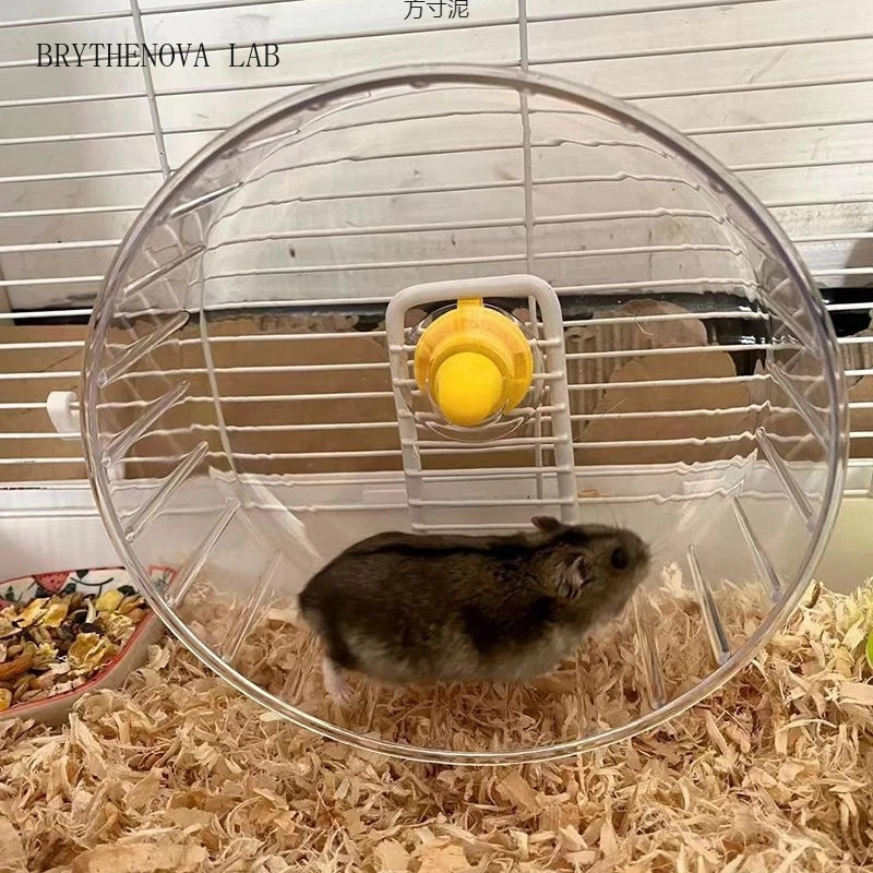 Hamster Cage Wheel - Roda de Exercício para Hamster com