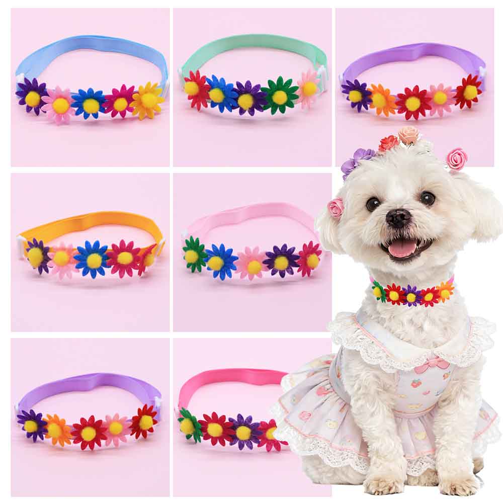 Pet Supplies Co - 50 Laços Coloridos para Cães, Acessórios