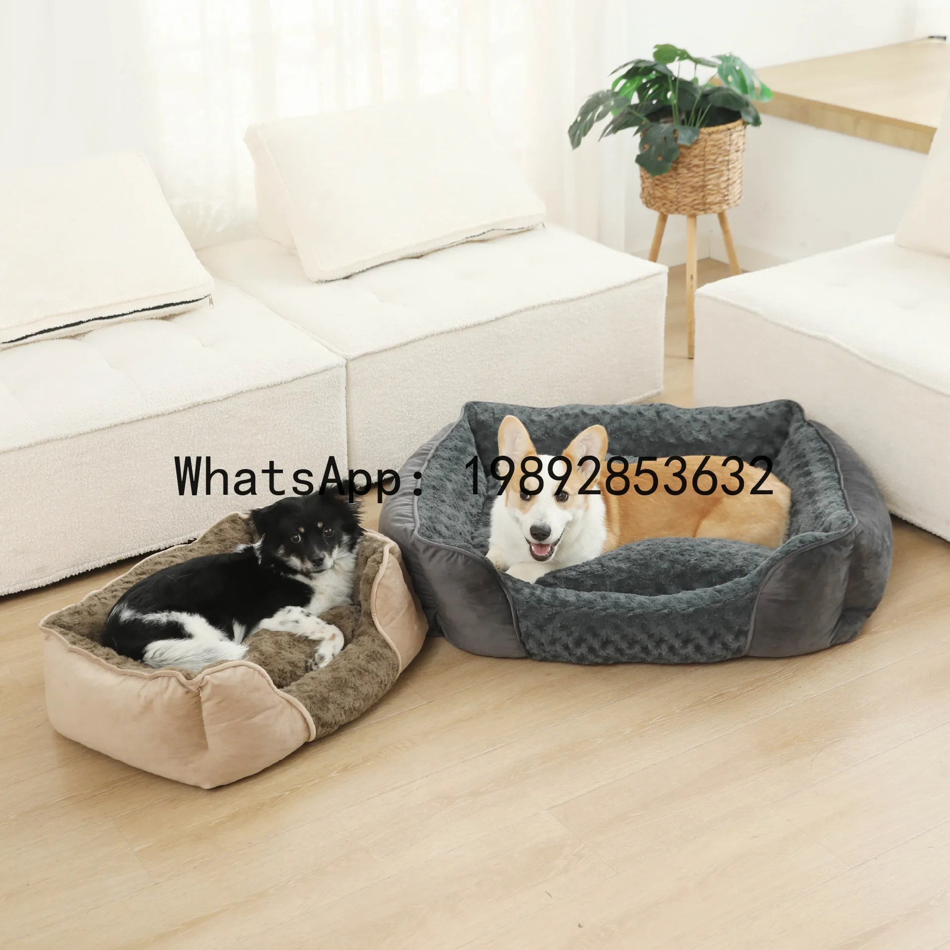 Pet X Supplies & Tack Howell Photos - Casa para gatos X, canil semi-fechado