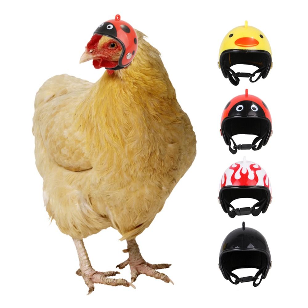 Pet X Supplies & Tack Howell Photos - Capacete Protetor Divertido para Animais de