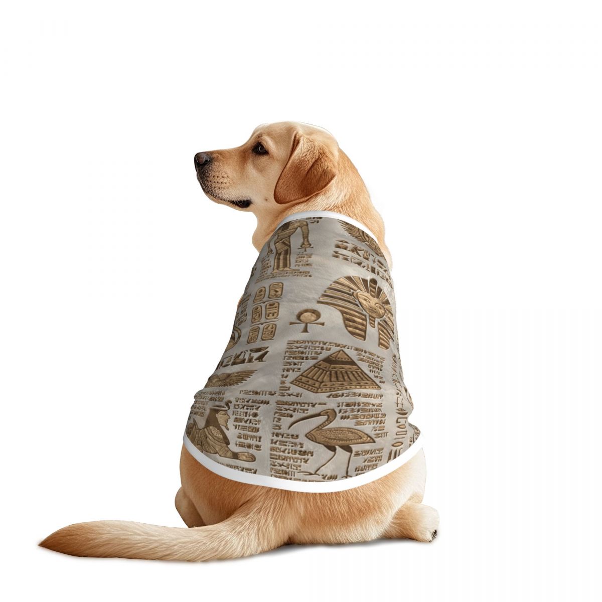 Pet Supplies Egypt - Hieróglifos egípcios e divindades coletes para