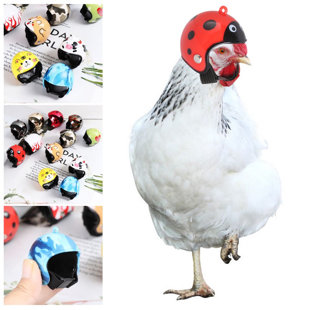 Pet X Supplies & Tack Howell Photos - Capacete Protetor Engraçado para Animais de