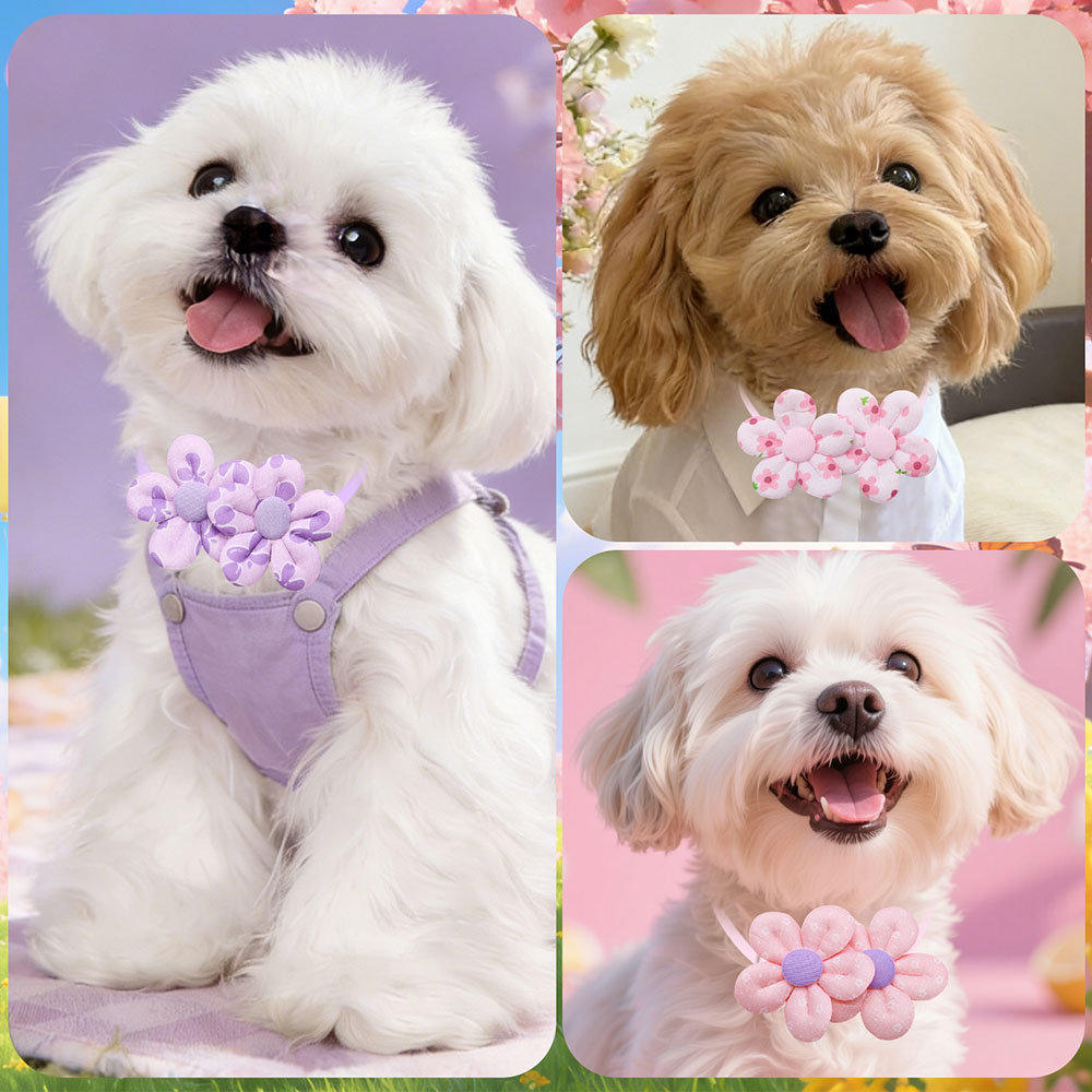 10 Laços de Cachorro em Format - Pet Supplies Co avaliação e preço