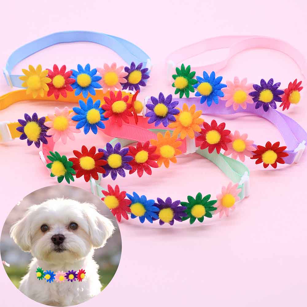 50 Laços Coloridos para Cães,  - Pet Supplies Co avaliação e preço