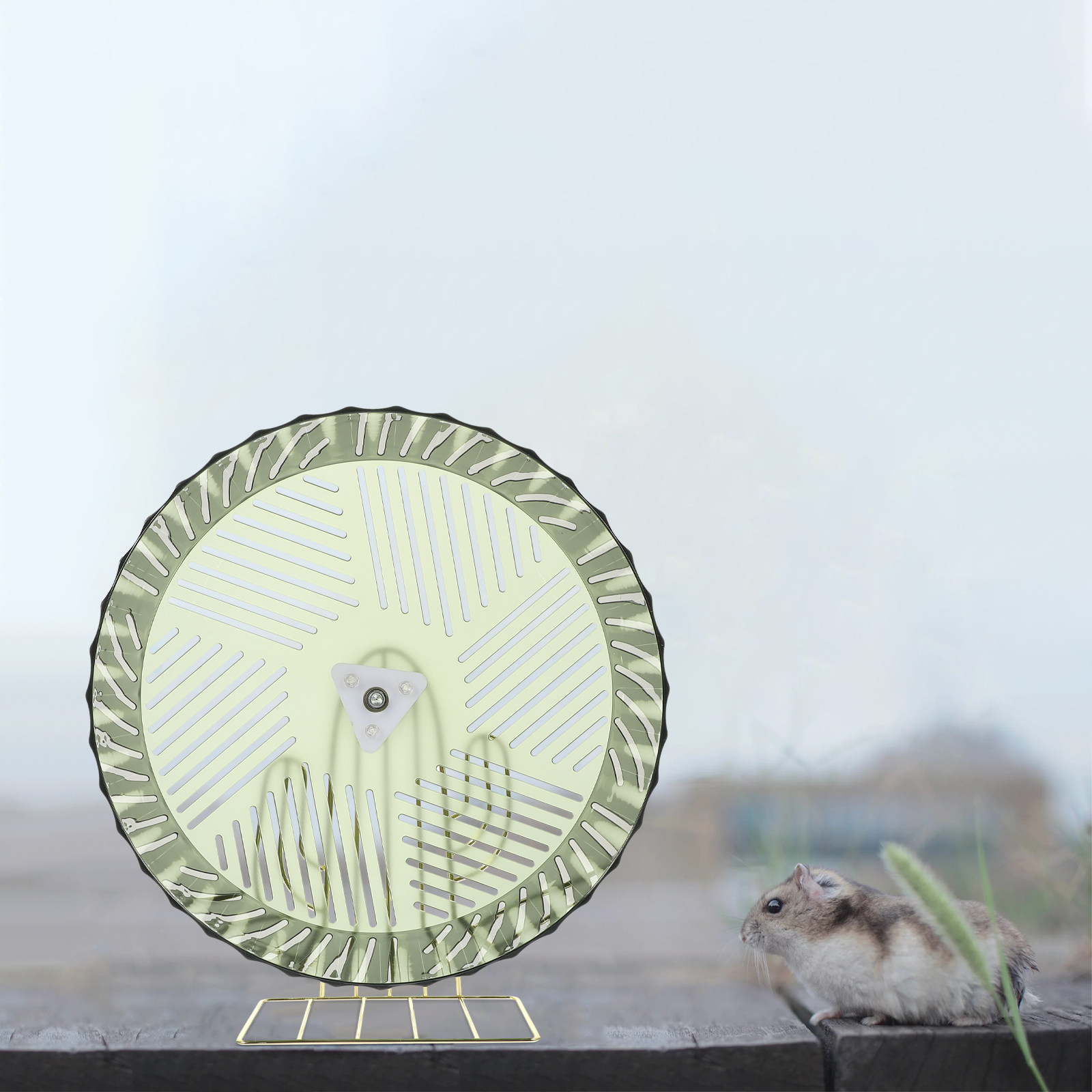 Roda de Exercício para Hamster - Hamster Cage Wheel avaliação e preço