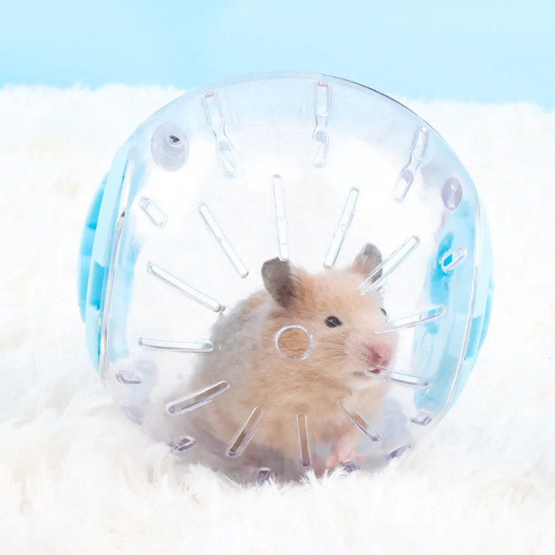Plástico esporte ao ar livre b - Hamster Cage Wheel avaliação e preço
