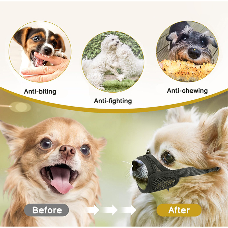 Focinheira de Malha para Cães  - Pet Supplies Co avaliação e preço