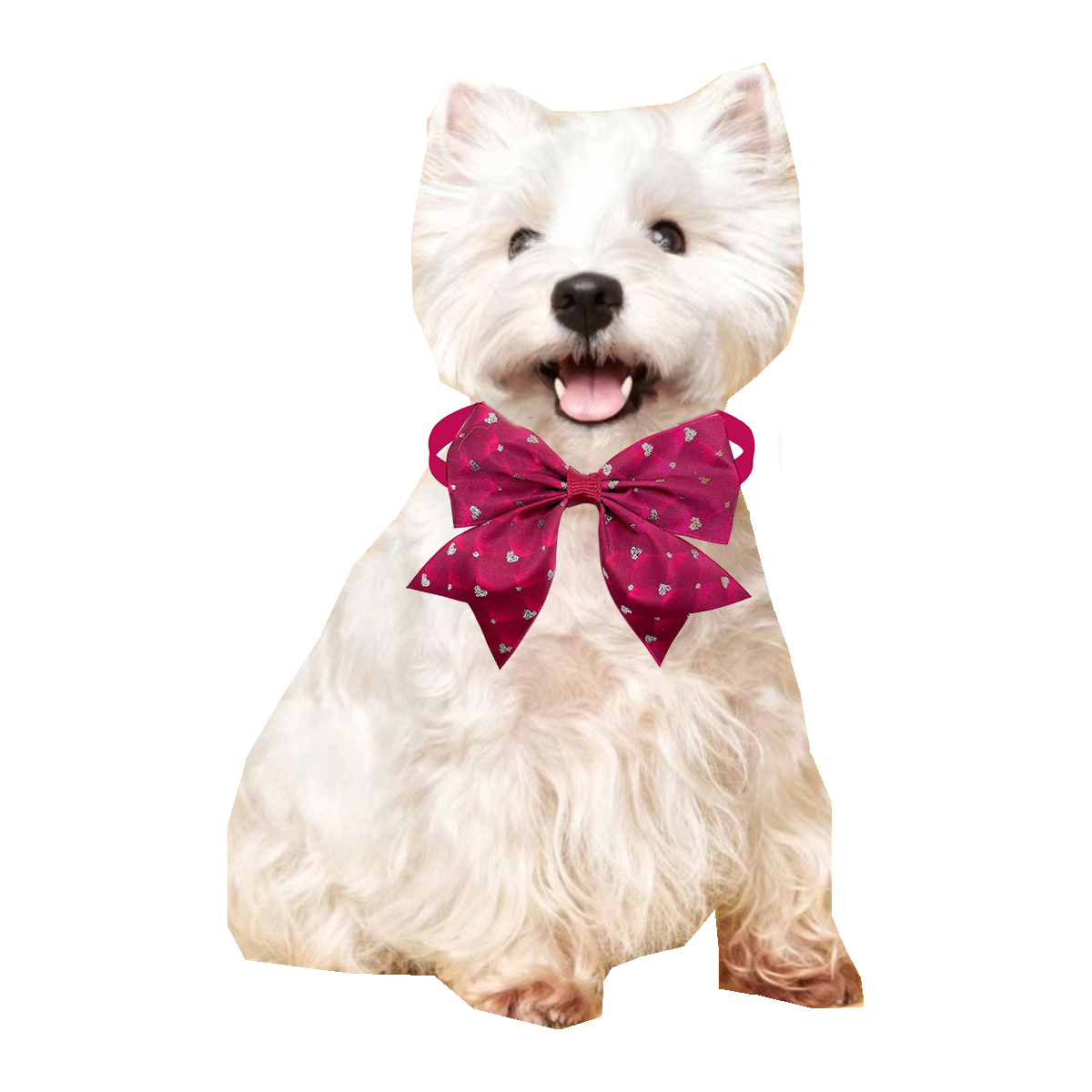 50/100 pces laço do cão estilo - Pet Supplies Co avaliação e preço