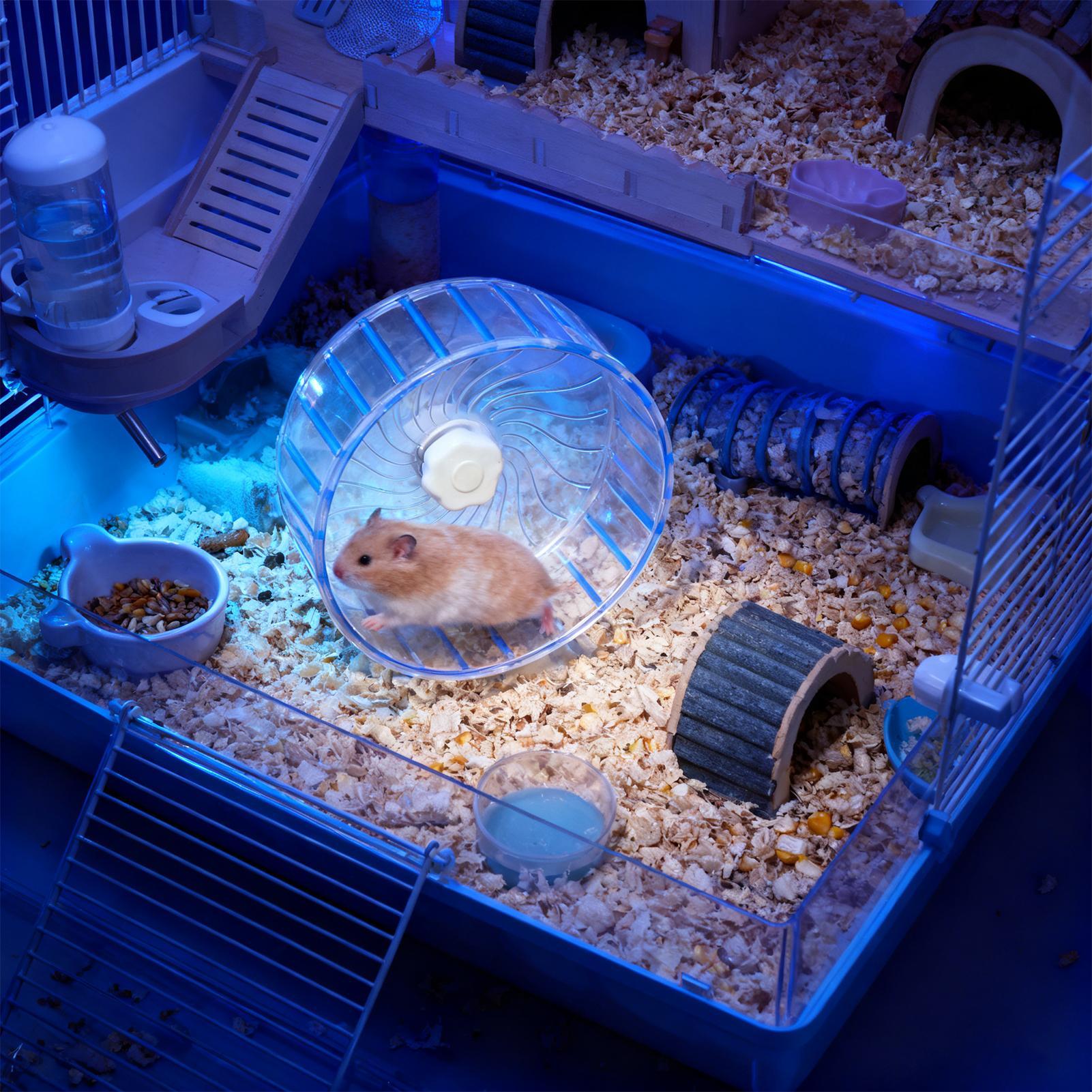 Roda Silenciosa para Hamster c - Hamster Cage Wheel avaliação e preço