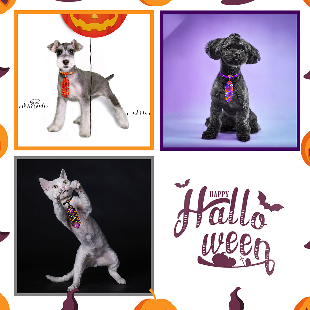 50/100 pçs halloween cão alici - Pet Supplies Co avaliação e preço