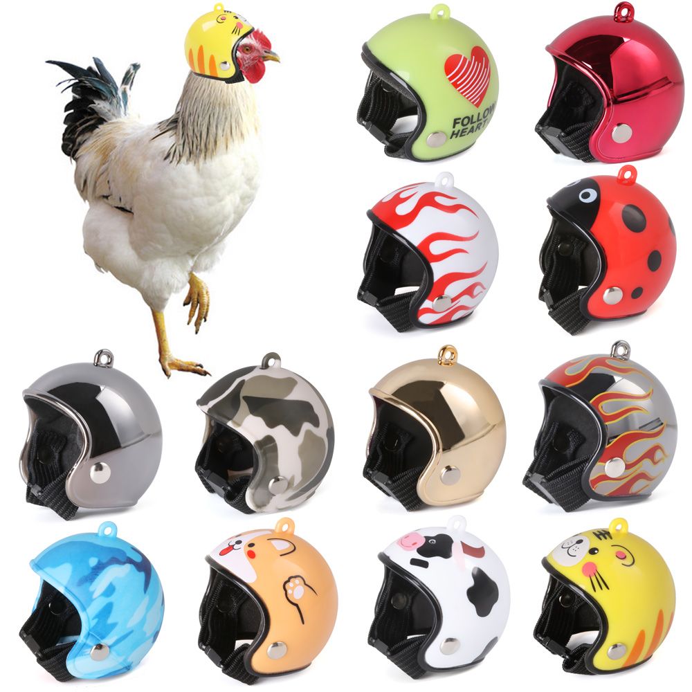Capacete Protetor Divertido pa - Pet X Supplies & Tack Howell Photos avaliação e preço