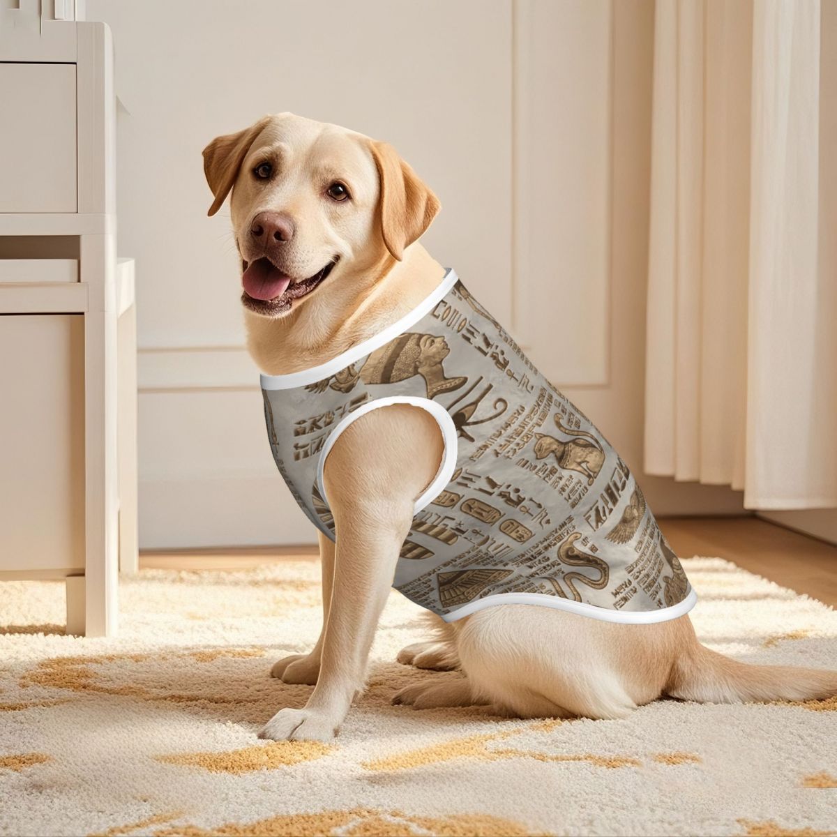 Hieróglifos egípcios e divinda - Pet Supplies Egypt avaliação e preço