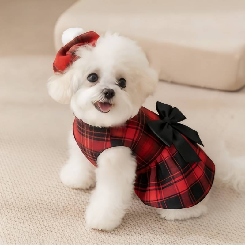 Roupa para Cães e Gatos: Colet - Pet Supplies Co avaliação e preço