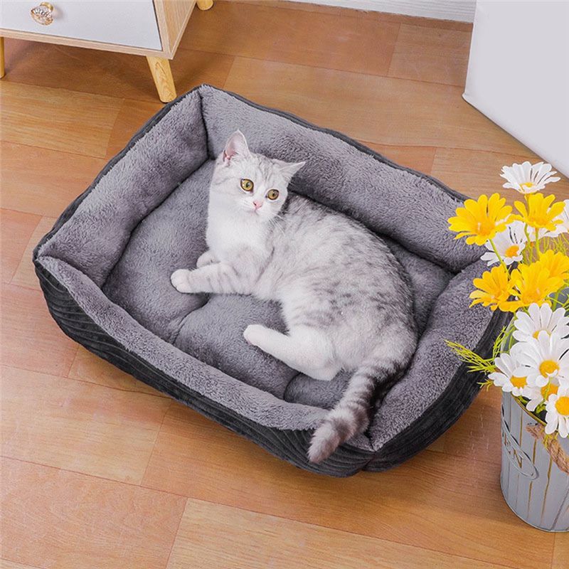 Cama para Cães AEA9 Cinza, Col - Pet X Supplies & Tack Howell Photos avaliação e preço