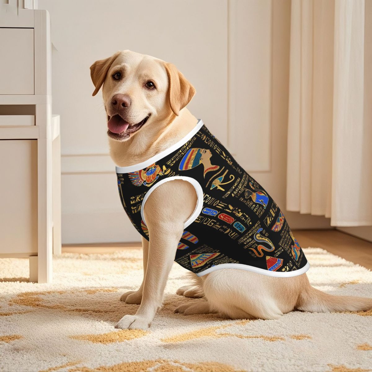 Hieróglifos egípcios e divinda - Pet Supplies Egypt avaliação e preço